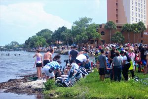 Crowds watch SpaceX Falcon 9 launch
